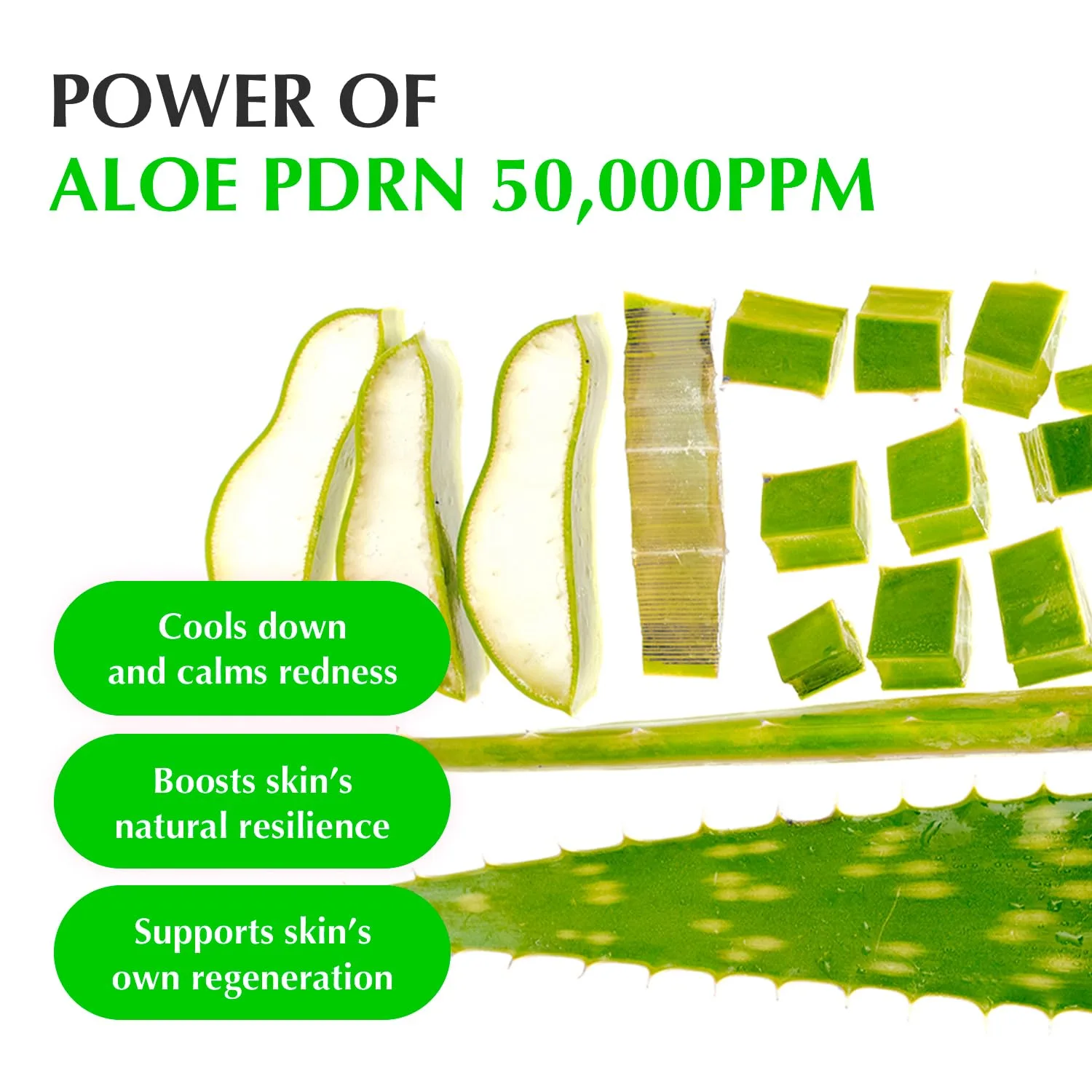 EQQUALBERRY ALOE PDRN CALMING SERUM 30ml/ALOEPDRN 5
