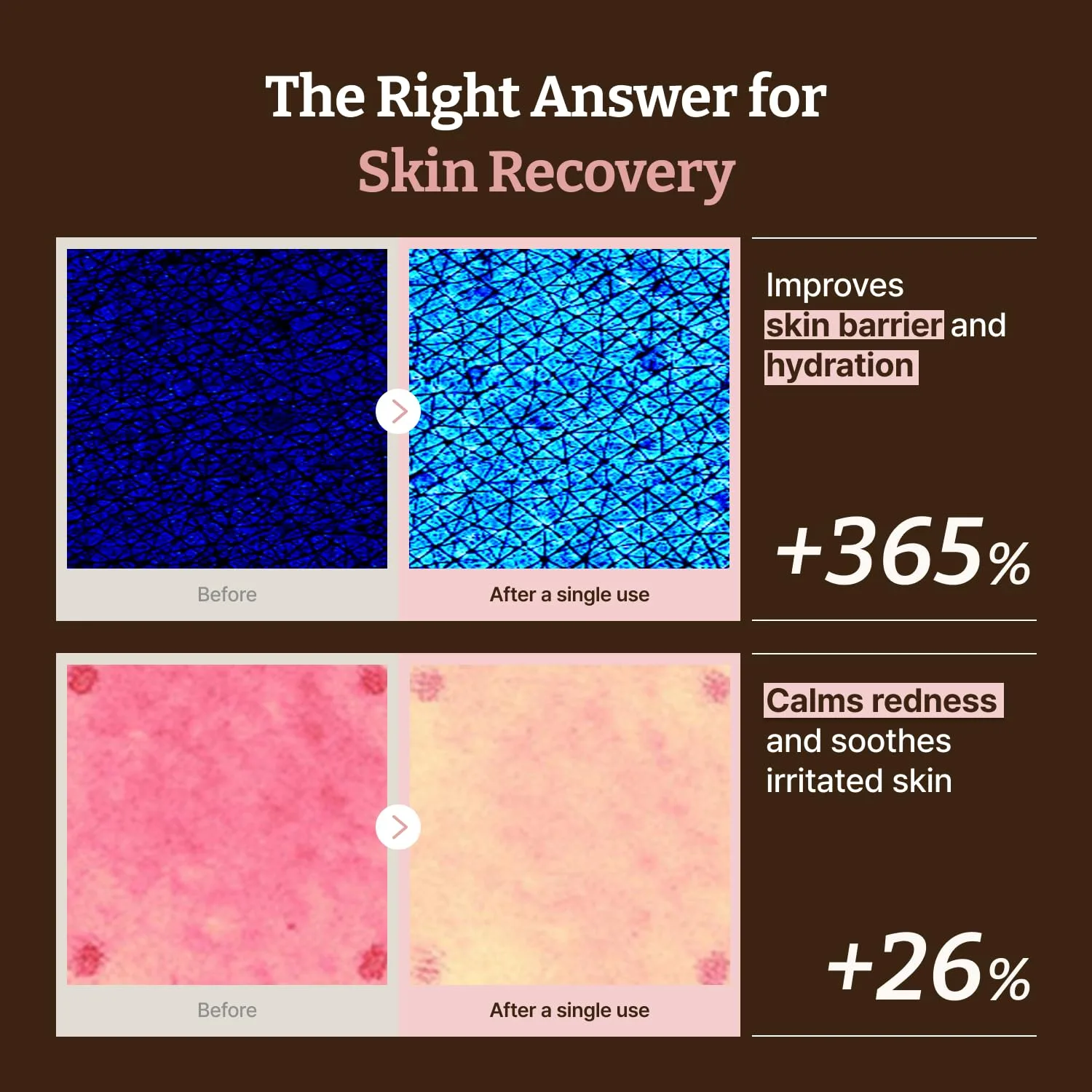 Dr.Reju-All Advanced PDRN Rejuvenating Cream 20ml 4
