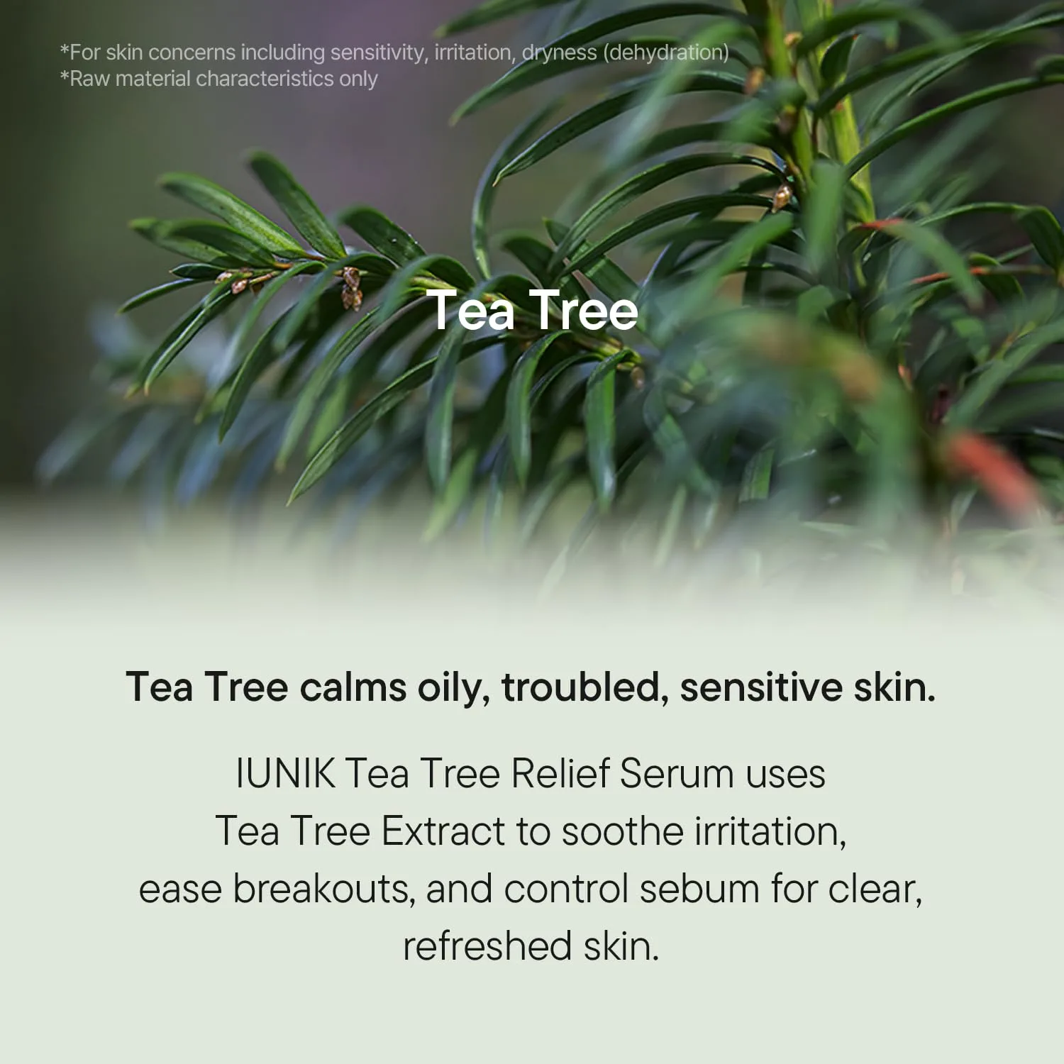 iUNIK Tea Tree Relief Serum 50ml (22AD) 4