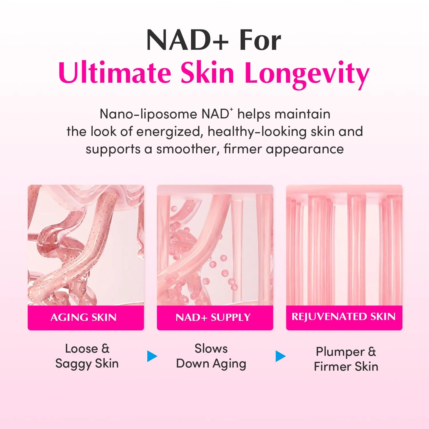 EQQUALBERRY NAD+ PEPTIDE BOOSTING CREAM 50ml 5